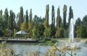 ÁLLATIJÓ KAPOSVÁR program