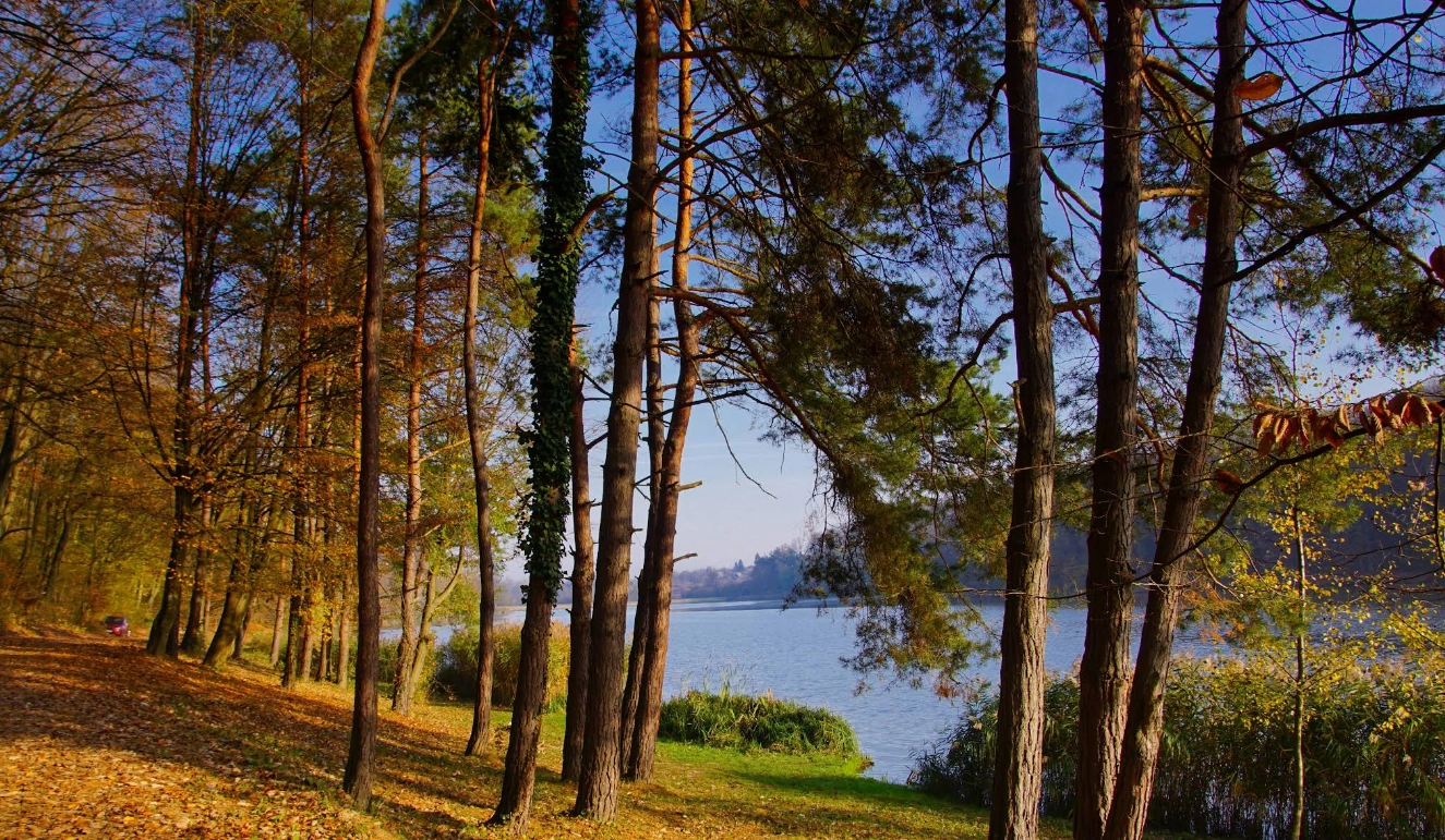 Töröcskei Parkerdő