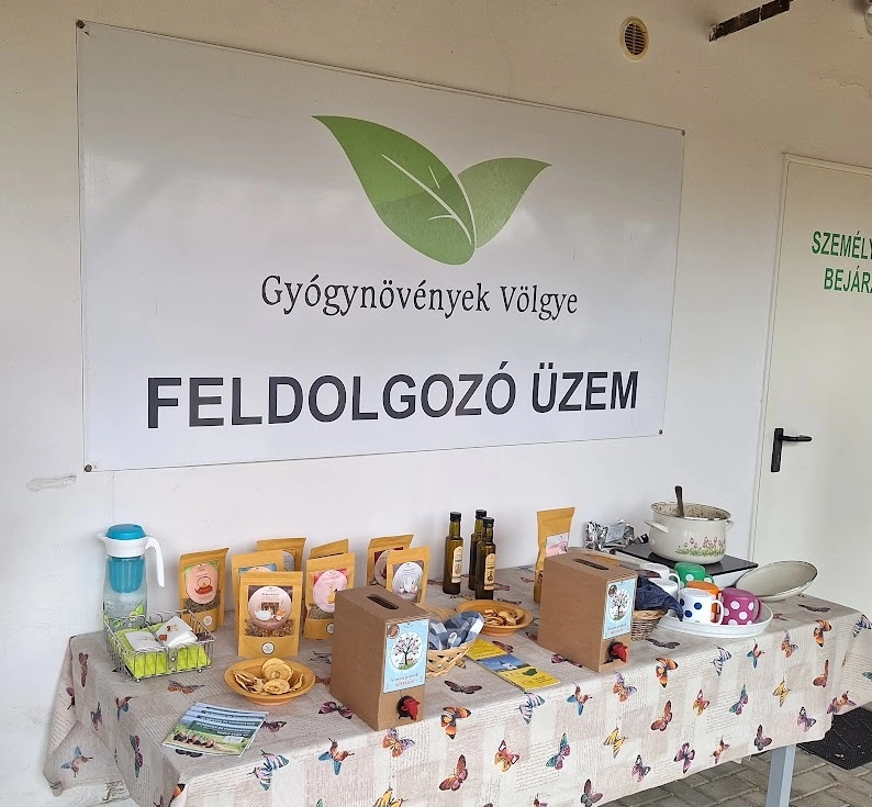 Kép