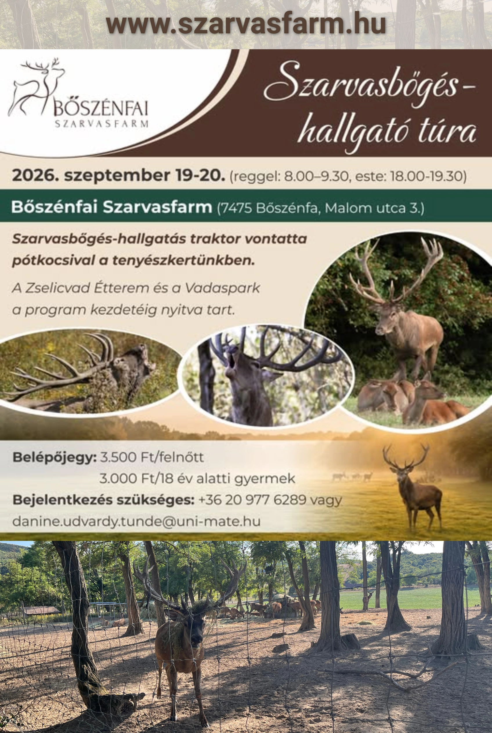 Szarvasbőgés-hallgató túra a Bőszénfai Szarvasfarmon esemény poszter
