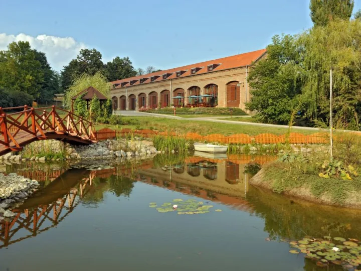 Bőszénfai Szarvasfarm