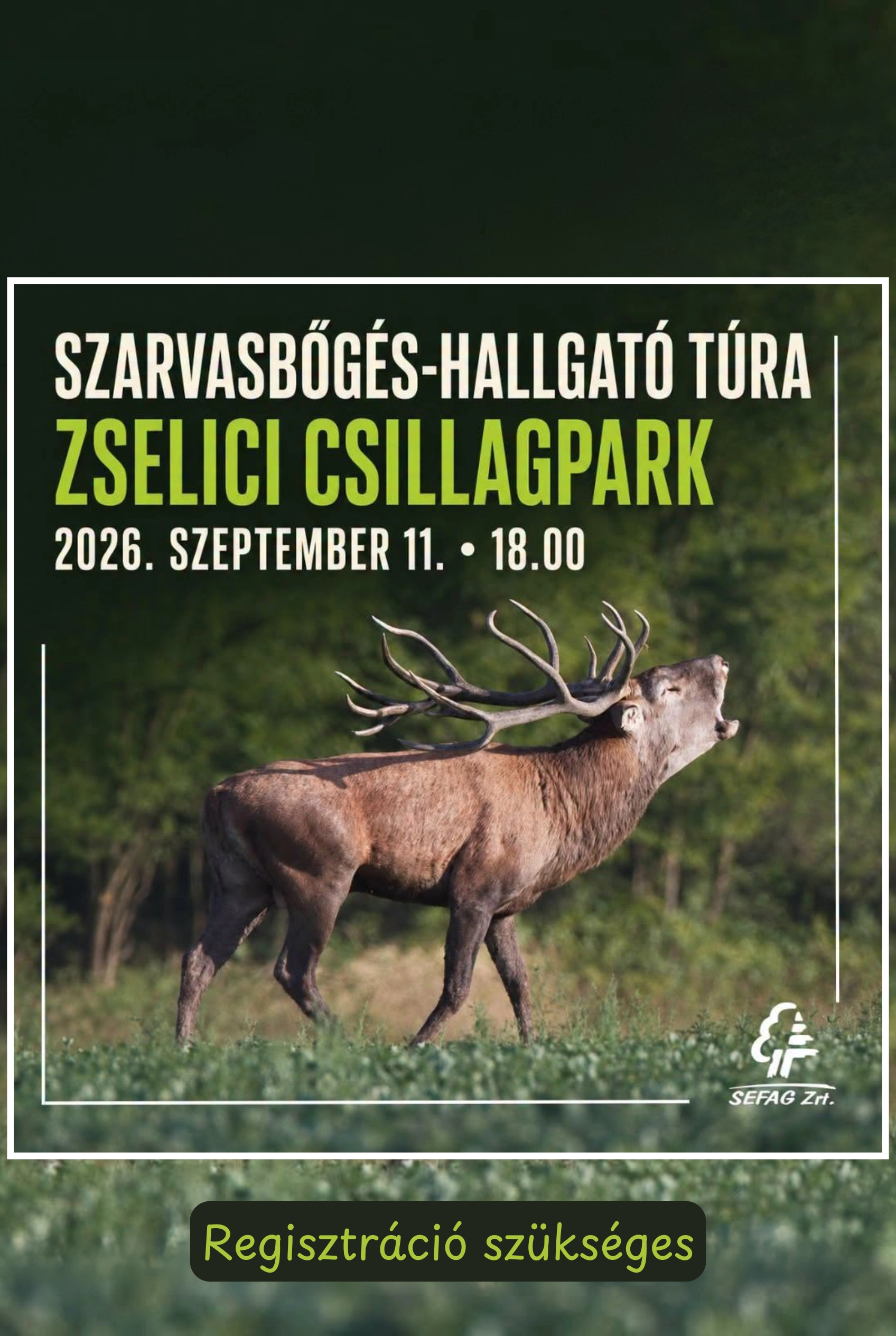 Szarvasbőgés-hallgató esti túra a Zselicben esemény poszter